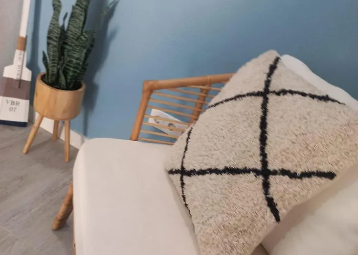 Salero Iv モンカラパッショ